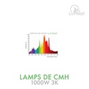 CMH DE Lamp 1000W 3K