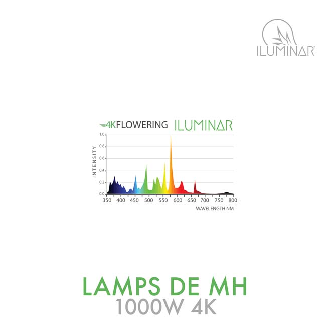 MH DE Lamp 1000W 4K