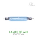MH DE Lamp 1000W 6K