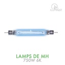 MH DE Lamp 750W 6K