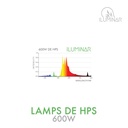 HPS DE Lamp 600W