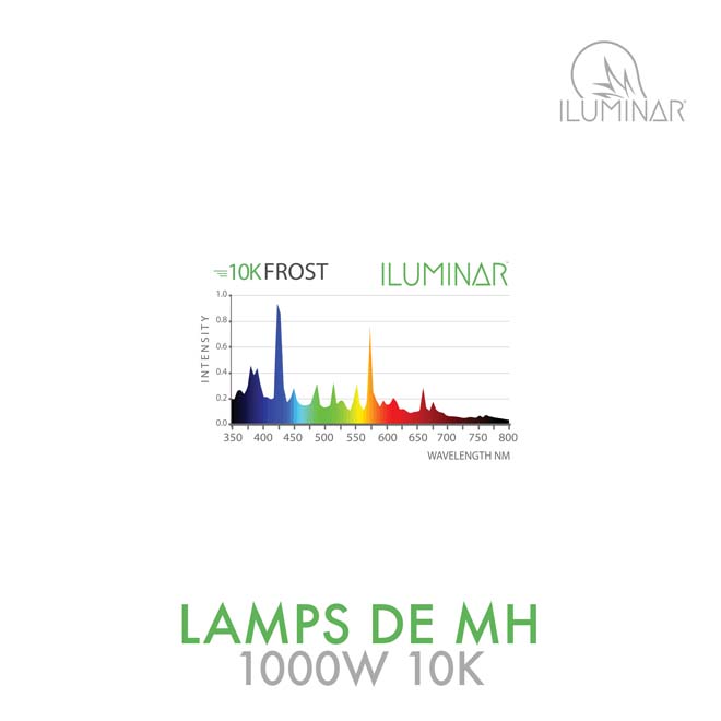 MH DE Lamp 1000W 10K