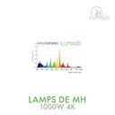 MH DE Lamp 1000W 4K
