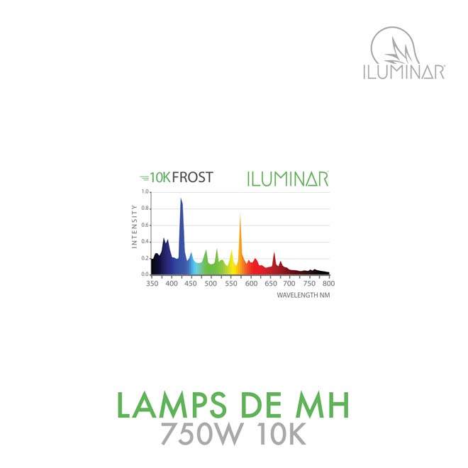 MH DE Lamp 750W 10K