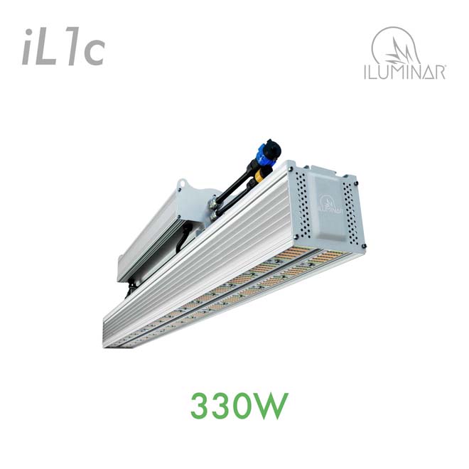 330W LED Grow Light iL1C 120V-277V