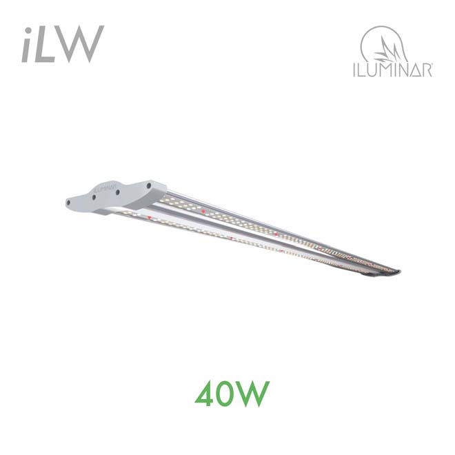 40W iLW LED Light 120/277V