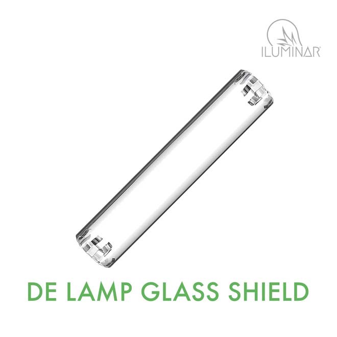 DE Lamp Glass Shield