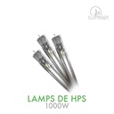 HPS DE Lamp 1000W