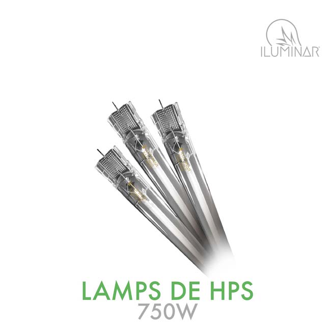 HPS DE Lamp 750W