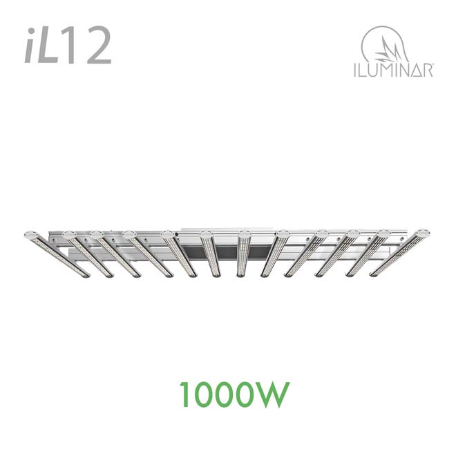 1000W LED Grow Light iL12 - 120V-277V