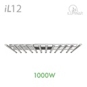 1000W LED Grow Light iL12 - 120V-277V