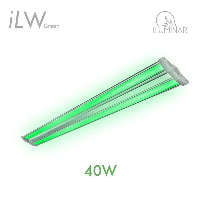 40W iLW Green LED