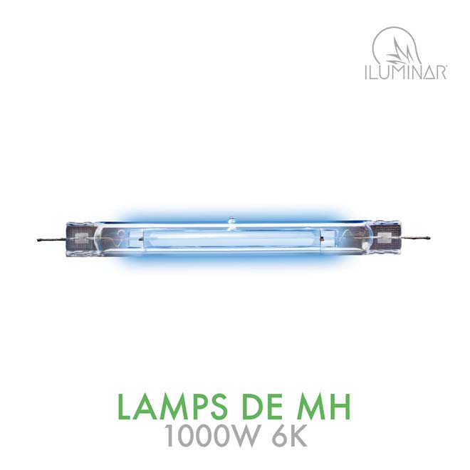 besteden impuls drie 1000W DE MH Lamps 6K | ILUMINAR Lighting